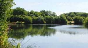 Lake in Tunbridge Wells